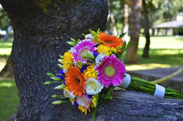 Ramo Gerberas