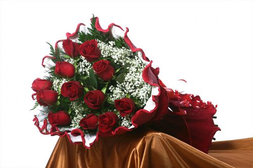 ROSAS