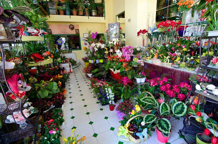 Floristería en Ponferrada Floristería en Ponferrada