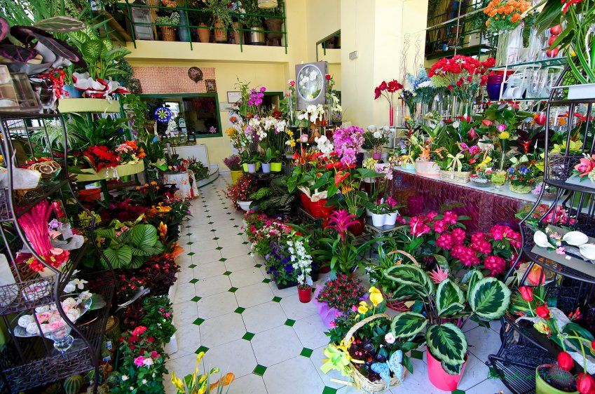 Floristería en Ponferrada