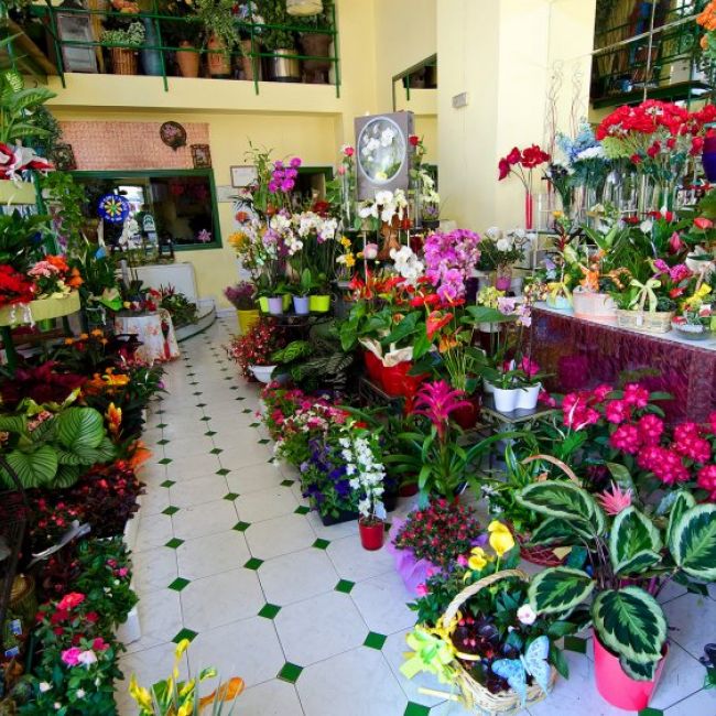 Floristería en Ponferrada